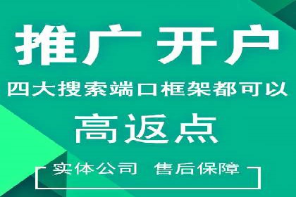SEM广告投放优化：从失败到成功的转变案例